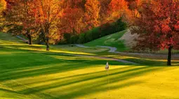 Wallpaper by creative2023